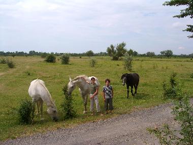 Casa de vacaciones en Portiragnes Plage (Hrault)Casa de vacaciones