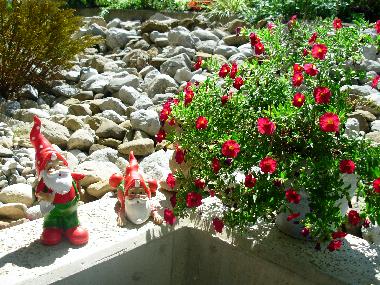 Apartamento de vacaciones en Rickenbach SZ (Vierwaldst�ttersee)Casa de vacaciones