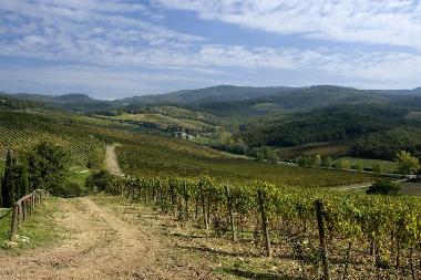 Casa de vacaciones en Montalcino (Siena)Casa de vacaciones