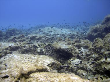 Villa en Protaras (Famagusta)Casa de vacaciones