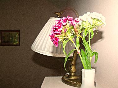 Cama y desayuno en Budapest (Budapest)Casa de vacaciones