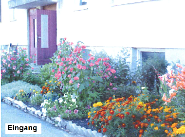 Apartamento de vacaciones en �sse Dorf (Laanemaa)Casa de vacaciones