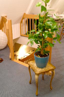 Apartamento de vacaciones en Trier (Mosel - Saar)Casa de vacaciones