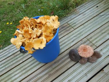 Casa de vacaciones en J�ms� (Lansi-Suomen Laani)Casa de vacaciones