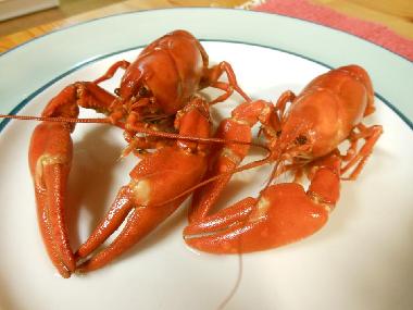 Casa de vacaciones en J�ms� (Lansi-Suomen Laani)Casa de vacaciones