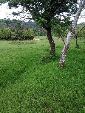 Casa de vacaciones en Silleda (Pontevedra)Casa de vacaciones