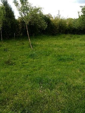 Casa de vacaciones en Silleda (Pontevedra)Casa de vacaciones