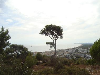 Apartamento de vacaciones en Marseillan (H�rault)Casa de vacaciones