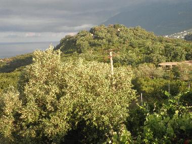 Cama y desayuno en Dhermi (Vlore)Casa de vacaciones