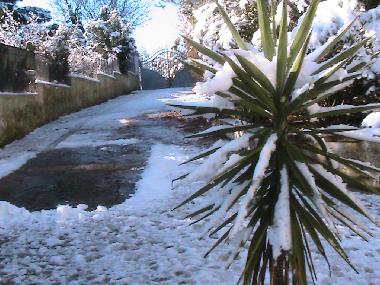 Casa de vacaciones en Ceglie Messapica (Taranto)Casa de vacaciones