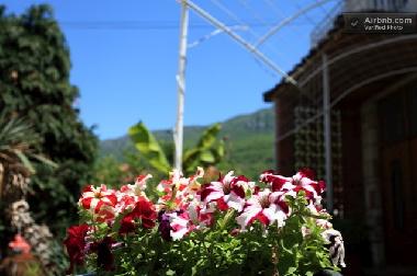 Cama y desayuno en pestani (Ohrid)Casa de vacaciones