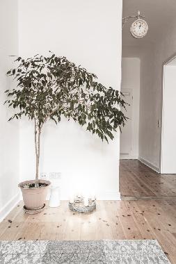 Apartamento de vacaciones en Berlin (Treptow)Casa de vacaciones