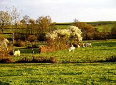 Casa de vacaciones en Chiddes (Sane-et-Loire)Casa de vacaciones