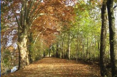 Casa de vacaciones en Chiddes (Sane-et-Loire)Casa de vacaciones