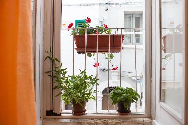 Casa de vacaciones en Monopoli (Bari)Casa de vacaciones