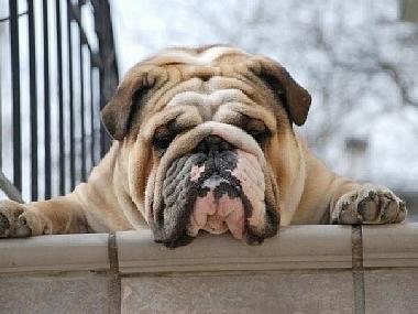 Apartamento de vacaciones en Heraklion (Irakleio)Casa de vacaciones