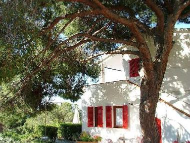 Apartamento de vacaciones en ELBA - CAPOLIVERI (Livorno)Casa de vacaciones