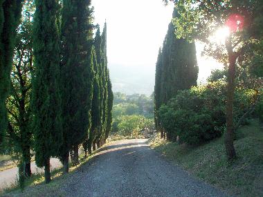 Villa en Fermignano (Pesaro e Urbino)Casa de vacaciones