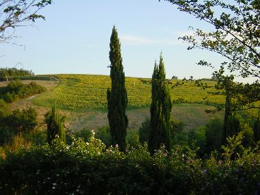 Villa en Fermignano (Pesaro e Urbino)Casa de vacaciones