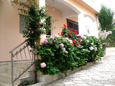 Apartamento de vacaciones en Orebić (Dubrovacko-Neretvanska)Casa de vacaciones