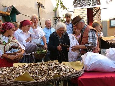 Apartamento de vacaciones en BORGO VAL DI TARO (Parma)Casa de vacaciones