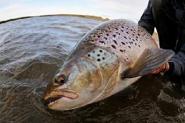 Apartamento de vacaciones en BORGO VAL DI TARO (Parma)Casa de vacaciones