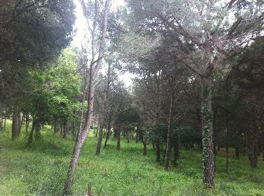 Casa de vacaciones en PLATJA D