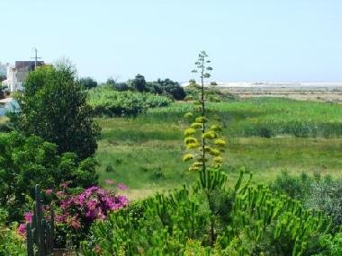 Casa de vacaciones en Moncarapacho (Algarve)Casa de vacaciones