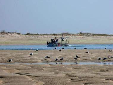 Casa de vacaciones en Moncarapacho (Algarve)Casa de vacaciones