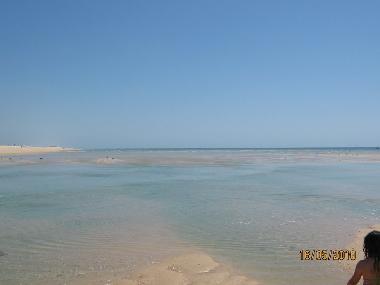 Casa de vacaciones en Moncarapacho (Algarve)Casa de vacaciones