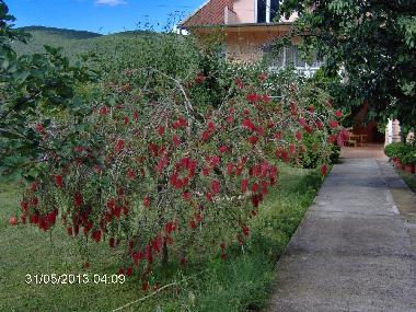 Apartamento de vacaciones en Kotor (Montenegro)Casa de vacaciones