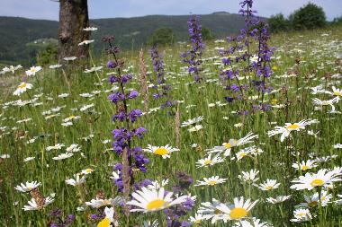 Casa de vacaciones en Schwanberg (West- und S�dsteiermark)Casa de vacaciones