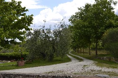 Apartamento de vacaciones en Rignano Sull