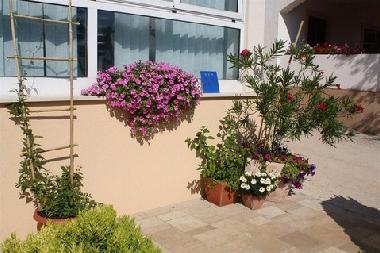 Apartamento de vacaciones en Mandre (Zadarska)Casa de vacaciones