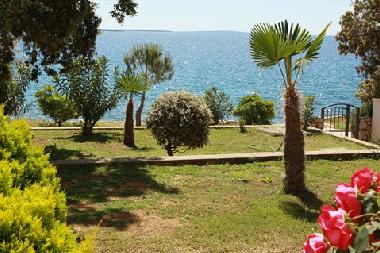 Apartamento de vacaciones en Mandre (Zadarska)Casa de vacaciones