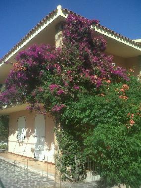 Casa de vacaciones en Budoni (Olbia-Tempio)Casa de vacaciones