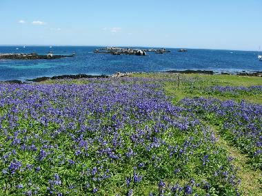 Casa de vacaciones en Fouesnant (Finistre)Casa de vacaciones