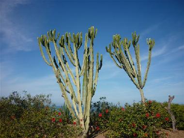 Casa de vacaciones en Cefal (Palermo)Casa de vacaciones