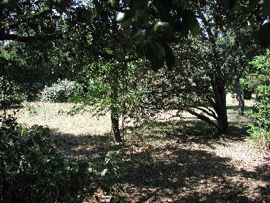 Villa en Rians (Var)Casa de vacaciones