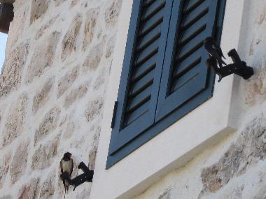 Apartamento de vacaciones en Milna (Splitsko-Dalmatinska)Casa de vacaciones