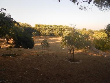 Casa de vacaciones en ostuni (Brindisi)Casa de vacaciones