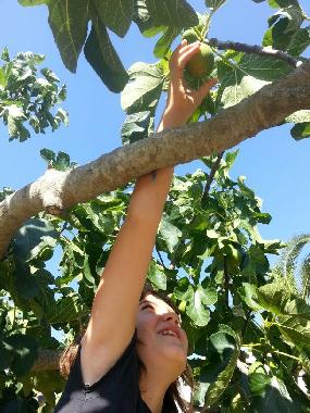 Casa de vacaciones en ostuni (Brindisi)Casa de vacaciones