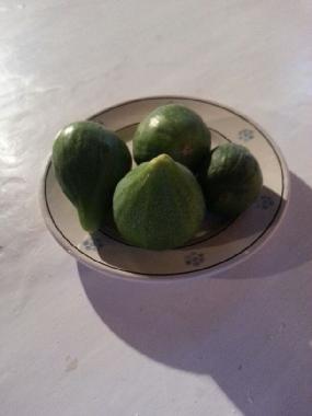 Casa de vacaciones en ostuni (Brindisi)Casa de vacaciones