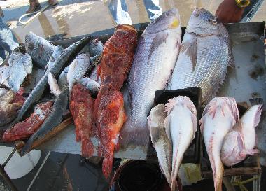 Villa en Isola delle Femmine (Palermo)Casa de vacaciones