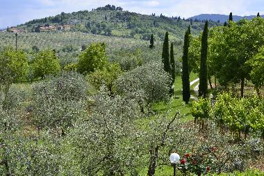 Apartamento de vacaciones en Rignano Sull