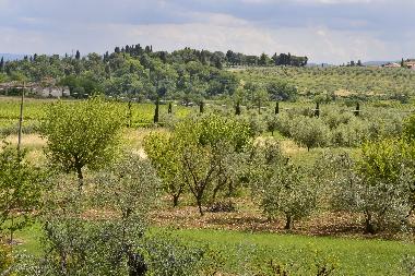 Apartamento de vacaciones en Rignano Sull