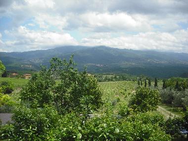 Apartamento de vacaciones en Rignano Sull