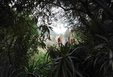 Apartamento de vacaciones en Porto Ota (Corse-du-Sud)Casa de vacaciones