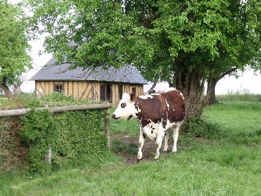Casa de vacaciones en Saint Aubin de Bonneval (Orne)Casa de vacaciones
