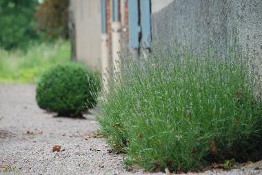 Palacio / Castillo en La Pacaudiere (Loire)Casa de vacaciones